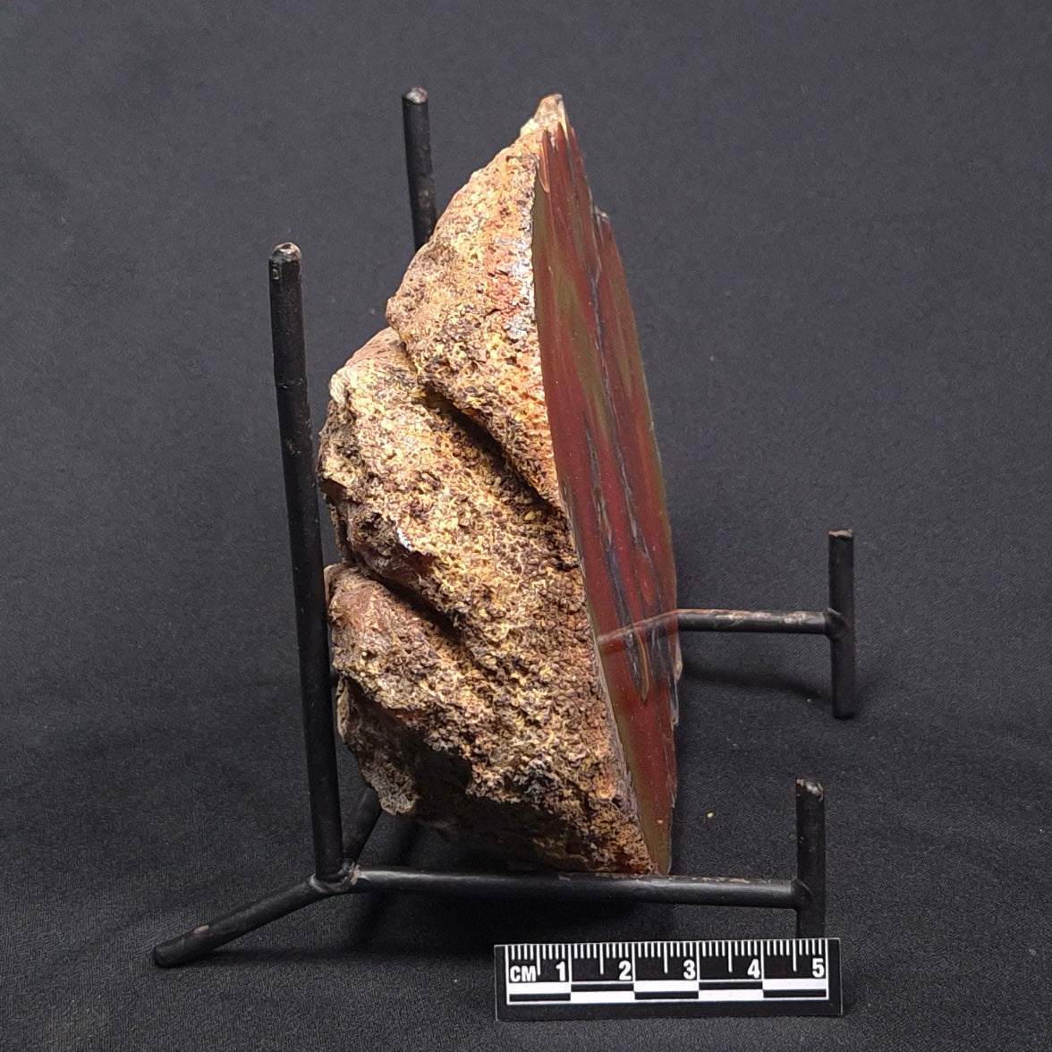 POLISHED AGATE, Agate Creek, Australia YAC016