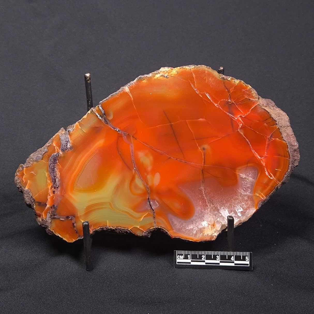 POLISHED AGATE, Agate Creek, Australia YAC019