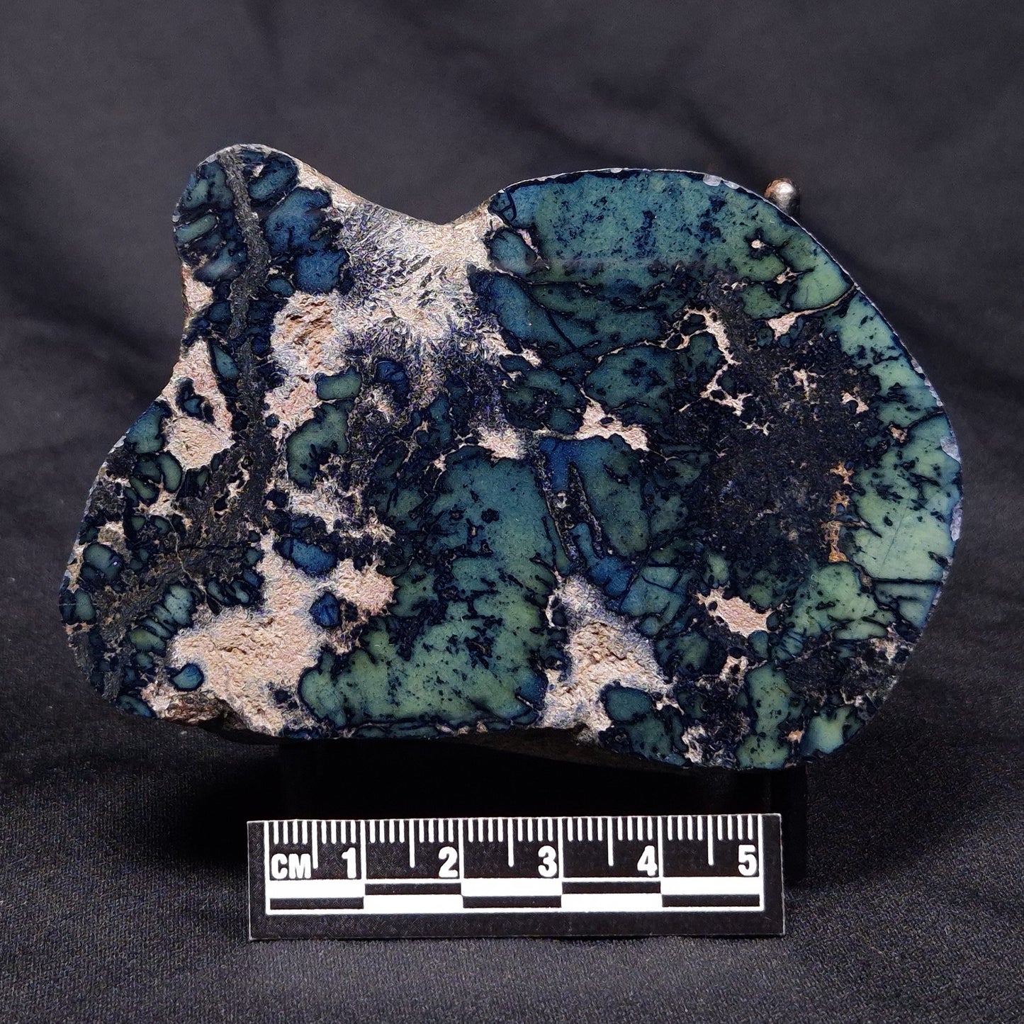 VIVIANITE NODULE, Australia XVI008