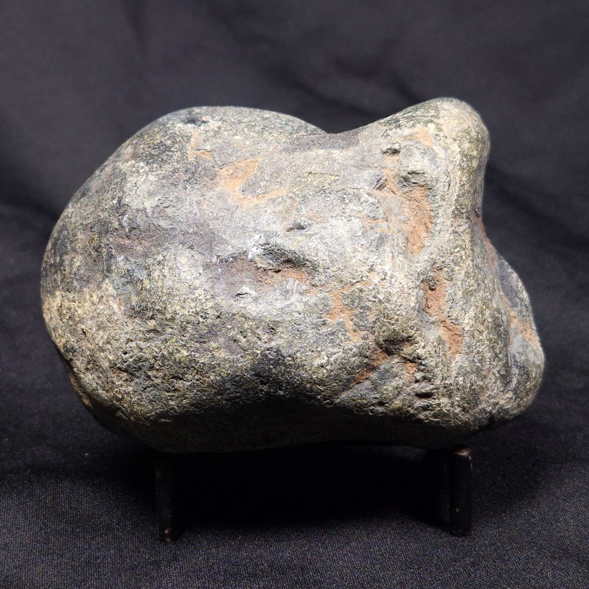 VIVIANITE NODULE, Australia XVI008