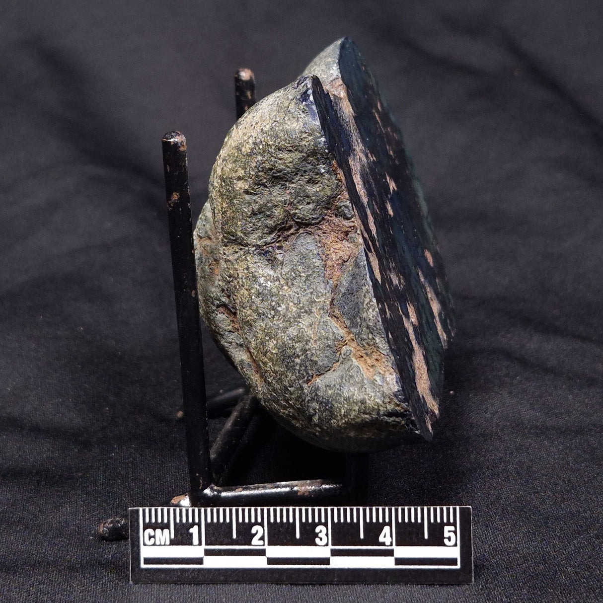 VIVIANITE NODULE, Australia XVI008