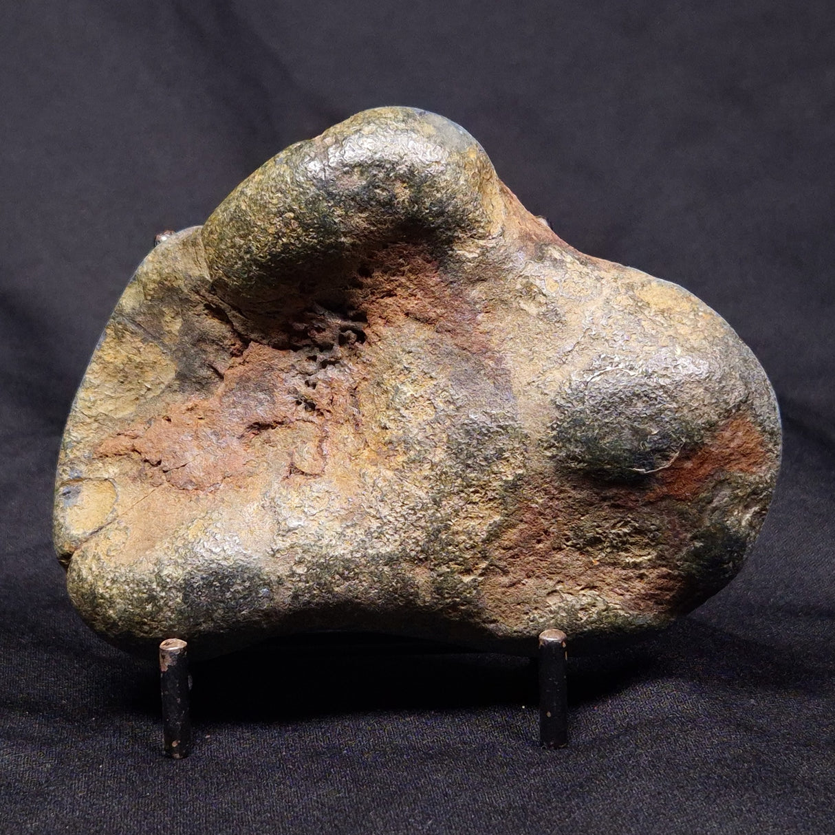 VIVIANITE NODULE, Australia XVI009