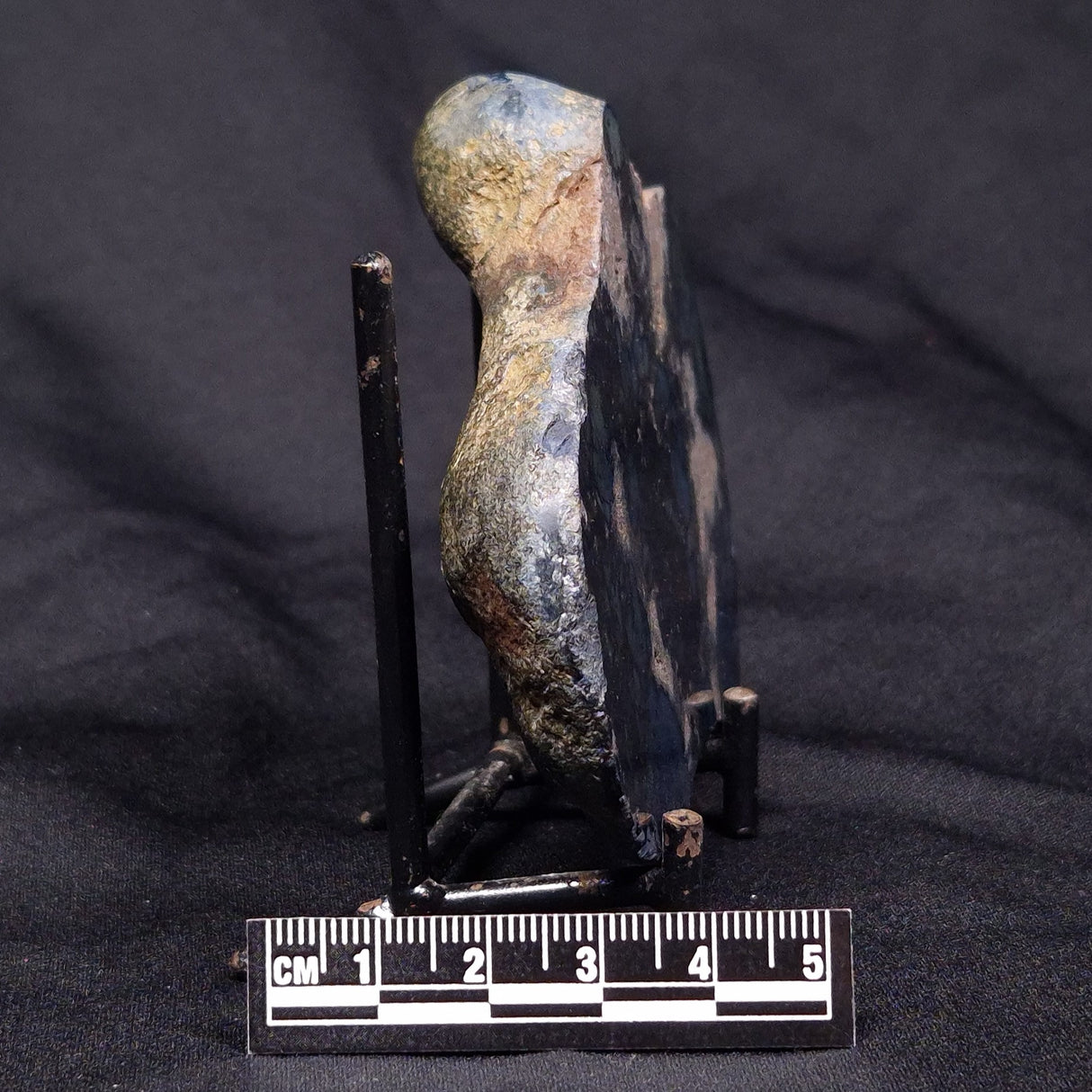 VIVIANITE NODULE, Australia XVI009