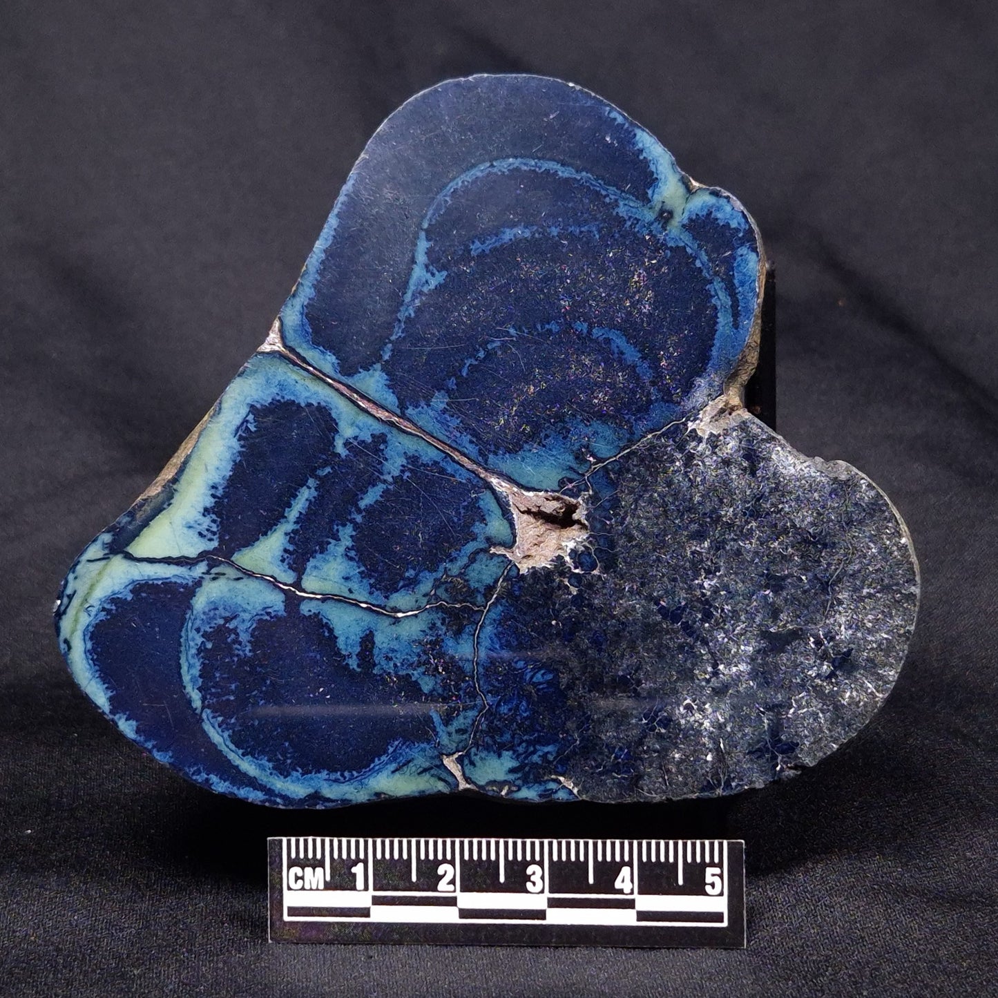VIVIANITE NODULE, Australia XVI010