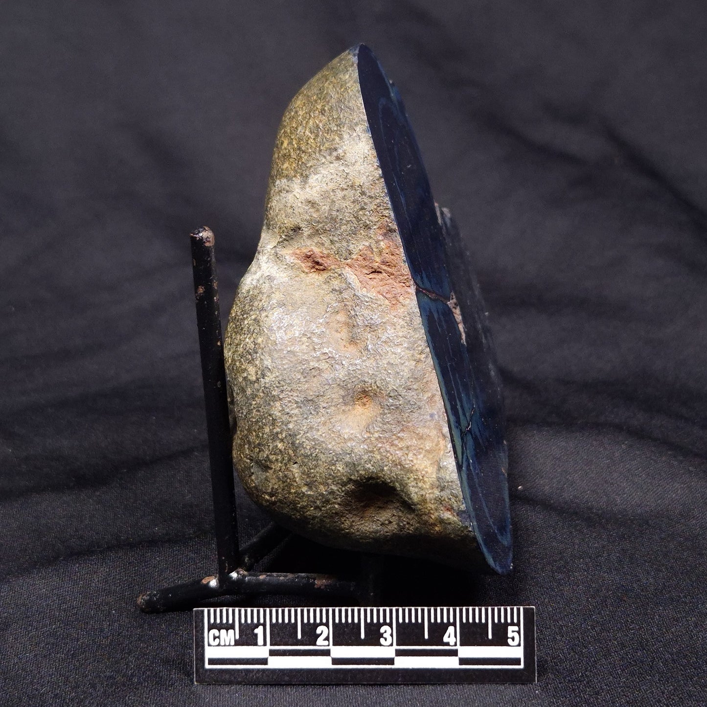 VIVIANITE NODULE, Australia XVI010