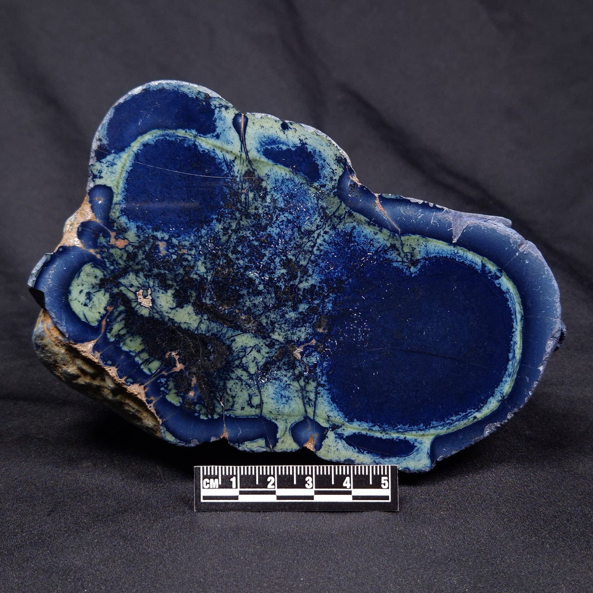 VIVIANITE NODULE, Australia XVI012