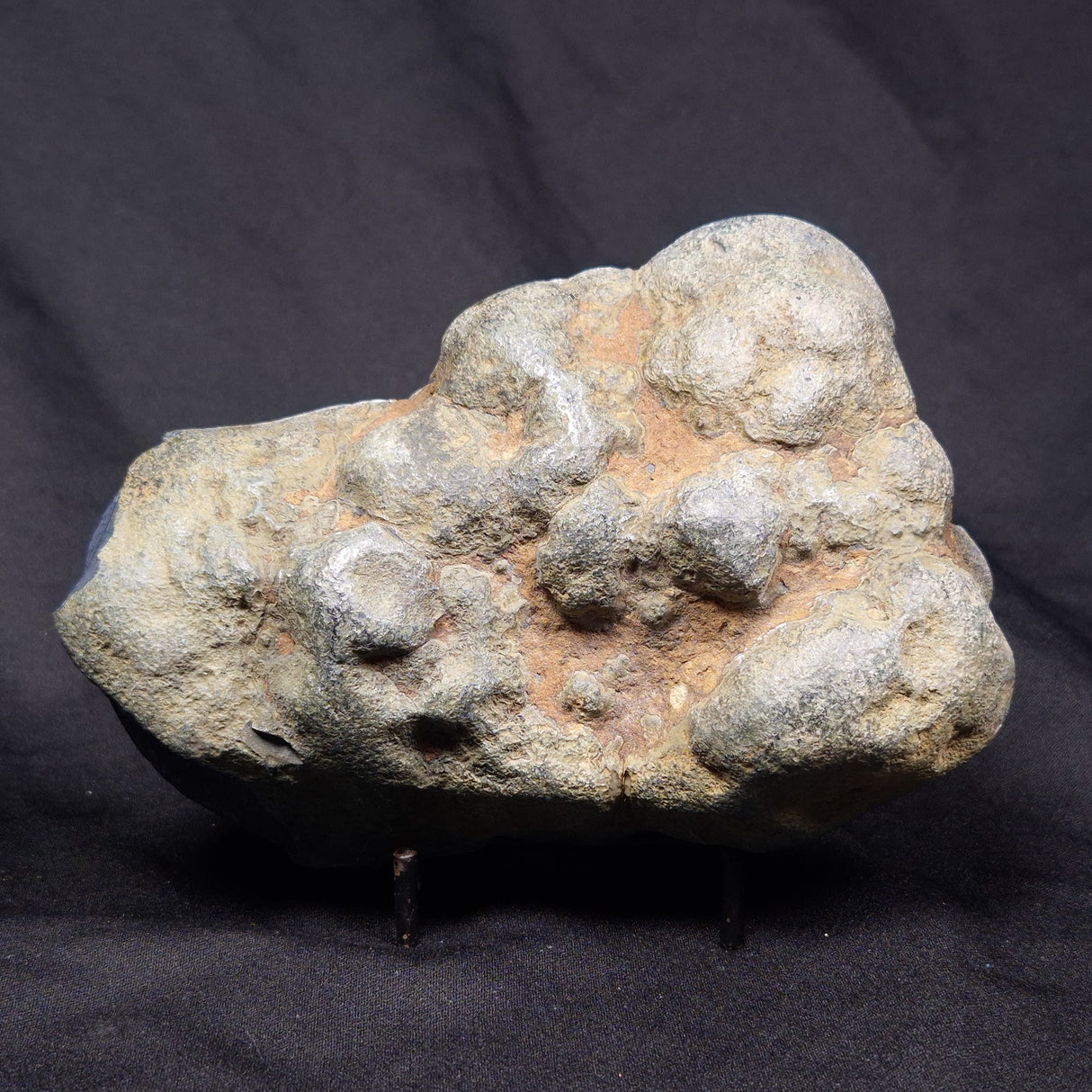 VIVIANITE NODULE, Australia XVI012