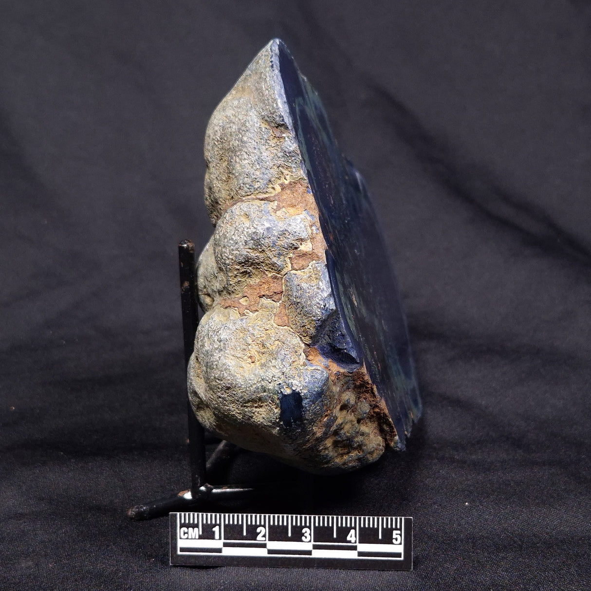 VIVIANITE NODULE, Australia XVI012
