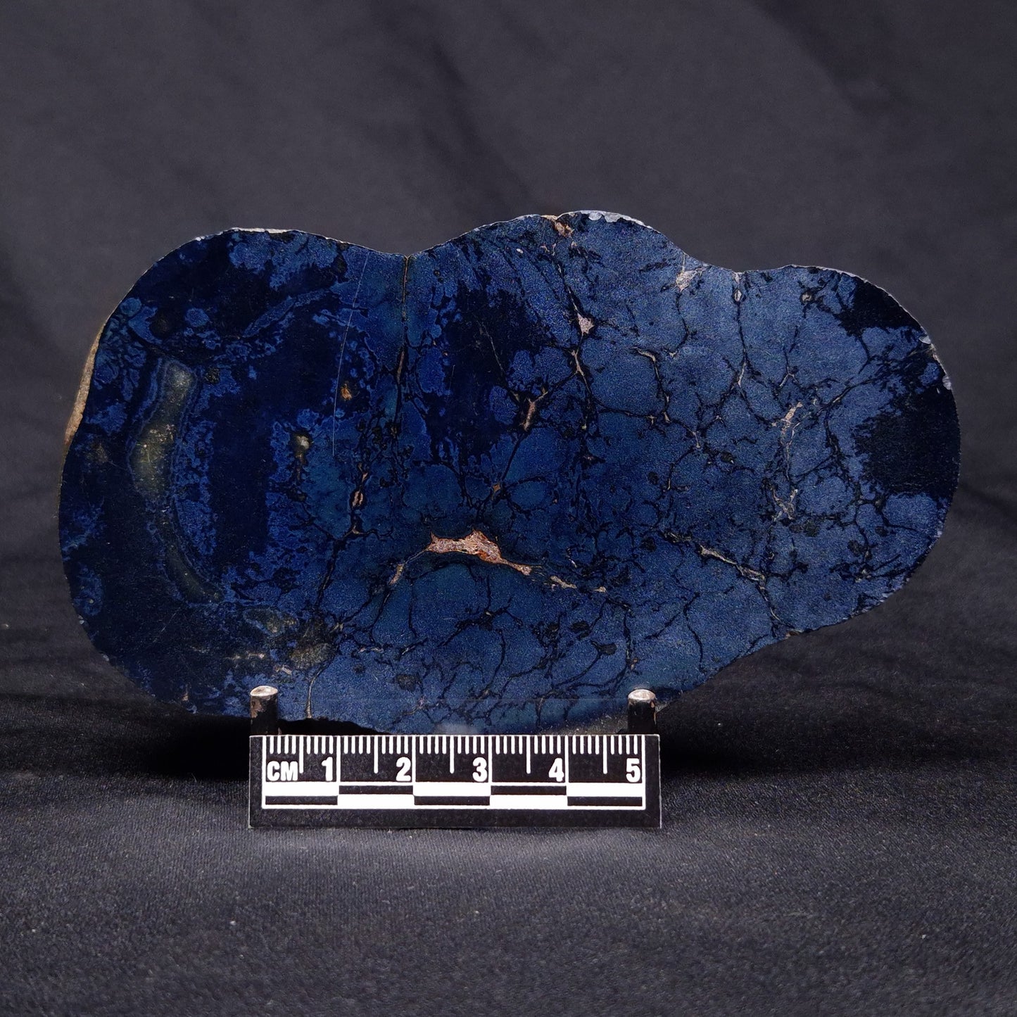 VIVIANITE NODULE, Australia XVI013