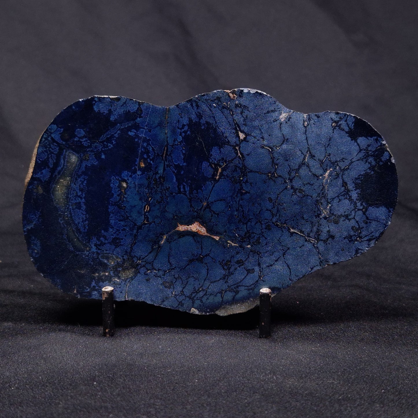 VIVIANITE NODULE, Australia XVI013