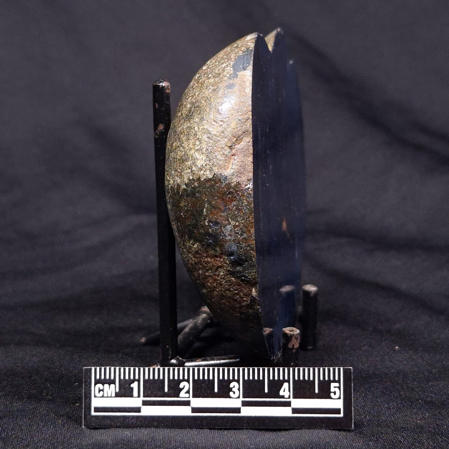 VIVIANITE NODULE, Australia XVI013