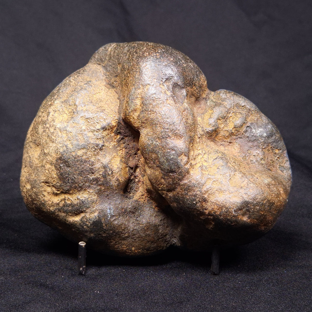 VIVIANITE NODULE, Australia XVI016