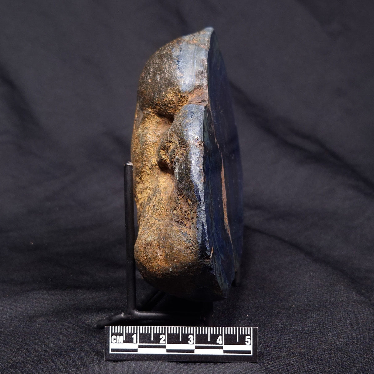 VIVIANITE NODULE, Australia XVI016