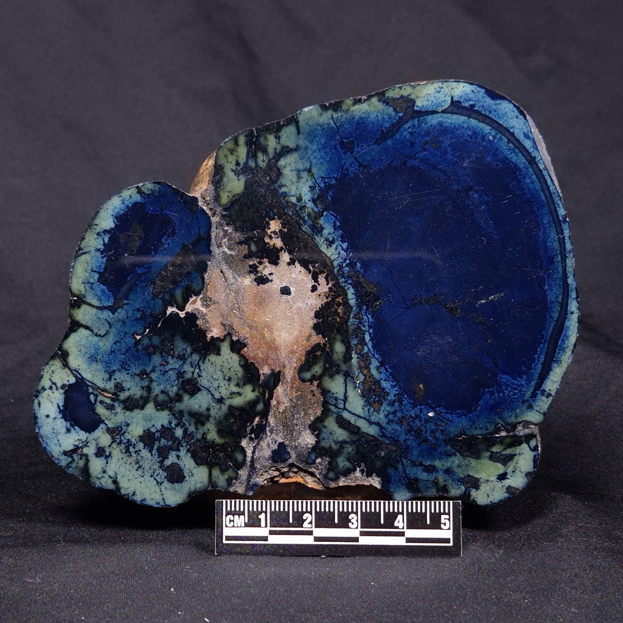 VIVIANITE NODULE, Australia XVI018