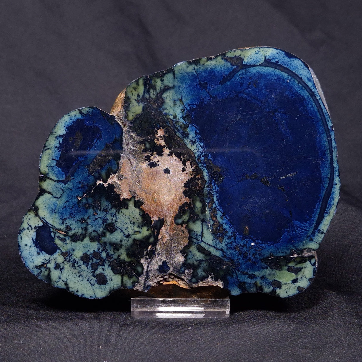 VIVIANITE NODULE, Australia XVI018