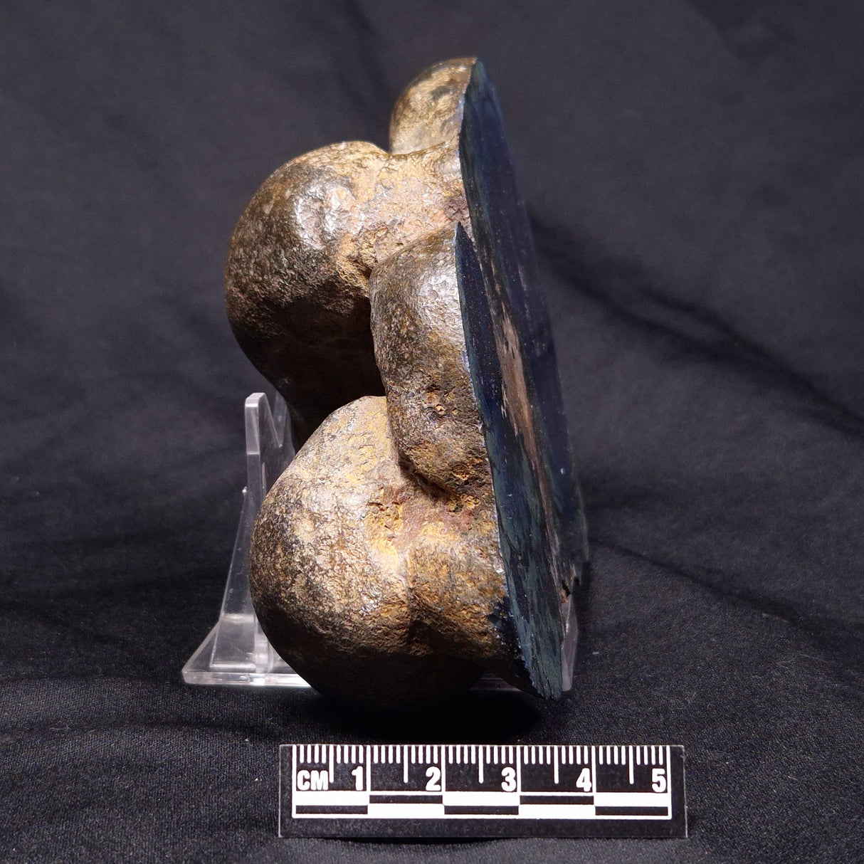 VIVIANITE NODULE, Australia XVI018