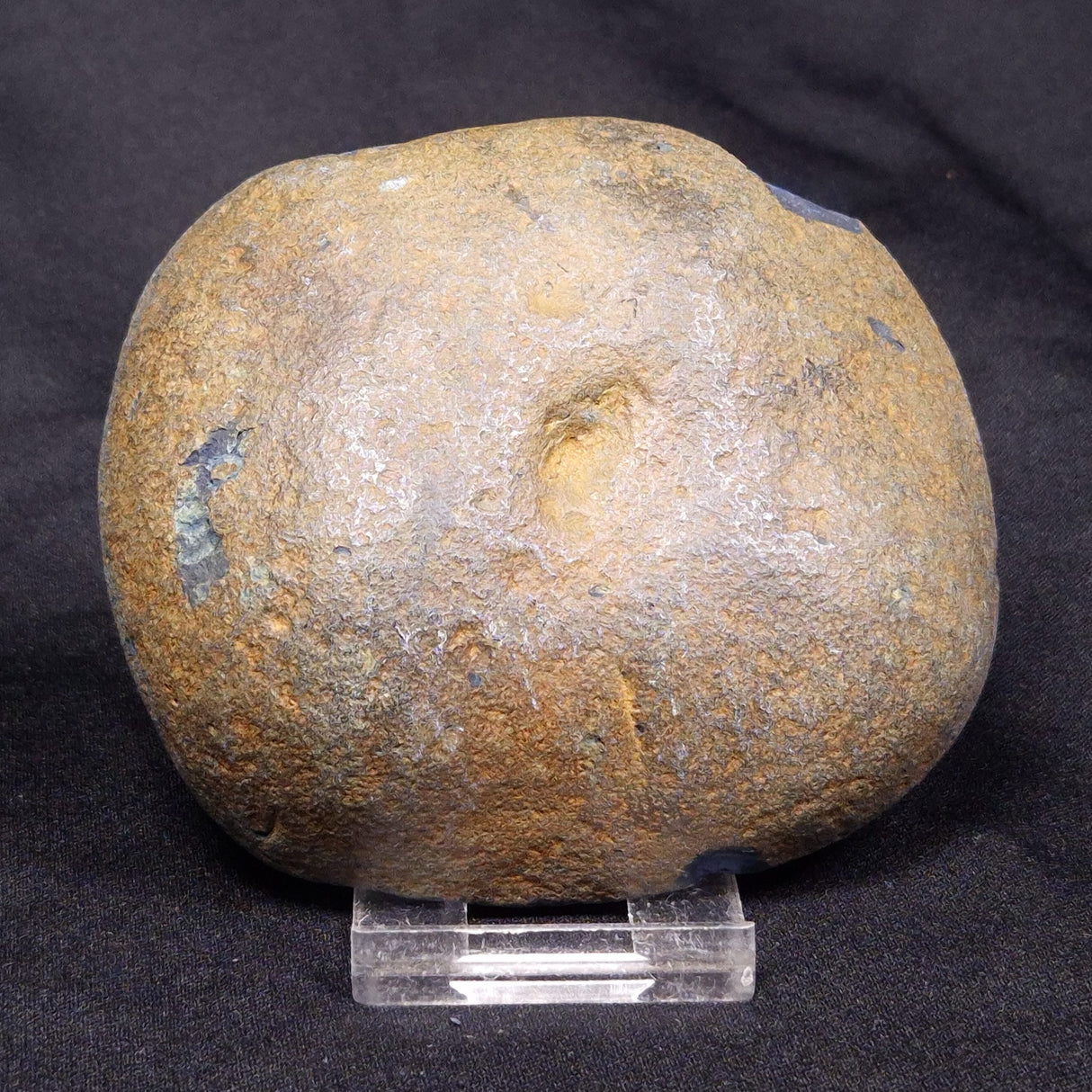 VIVIANITE NODULE, Australia XVI019