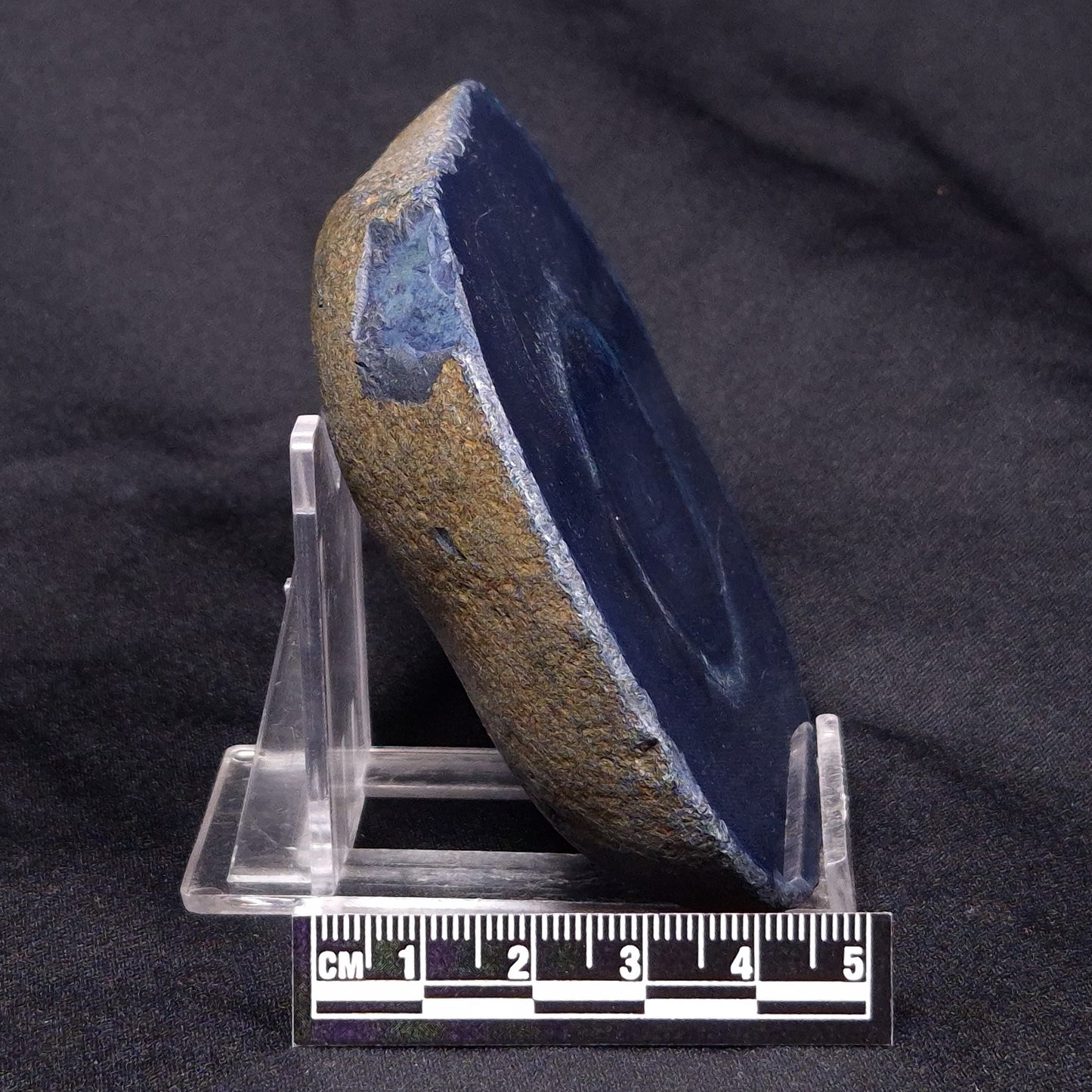 VIVIANITE NODULE, Australia XVI019