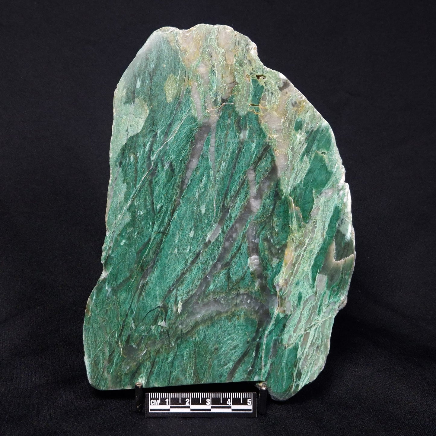 FUCHSITE, Australia YSC070