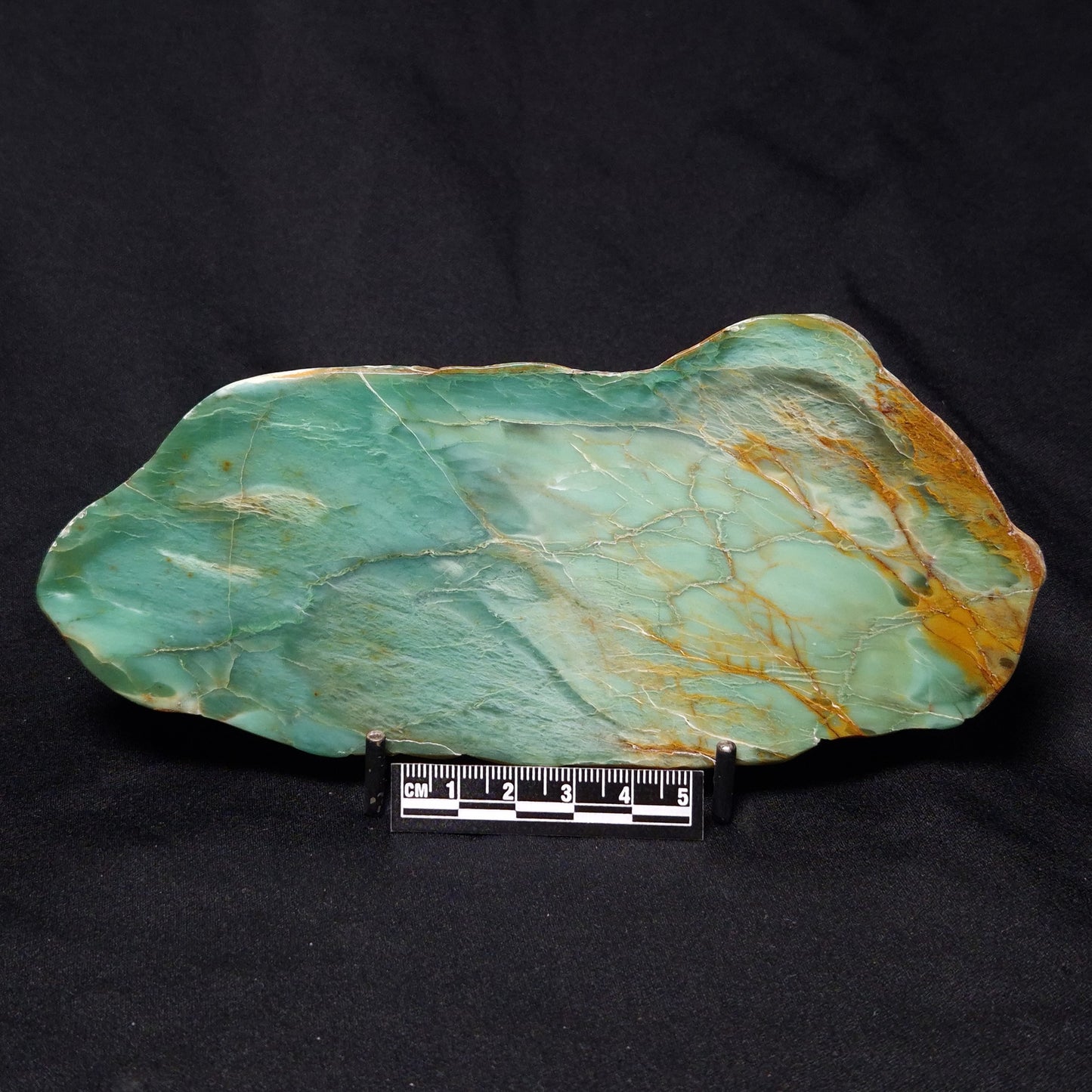 FUCHSITE, Australia YSC074