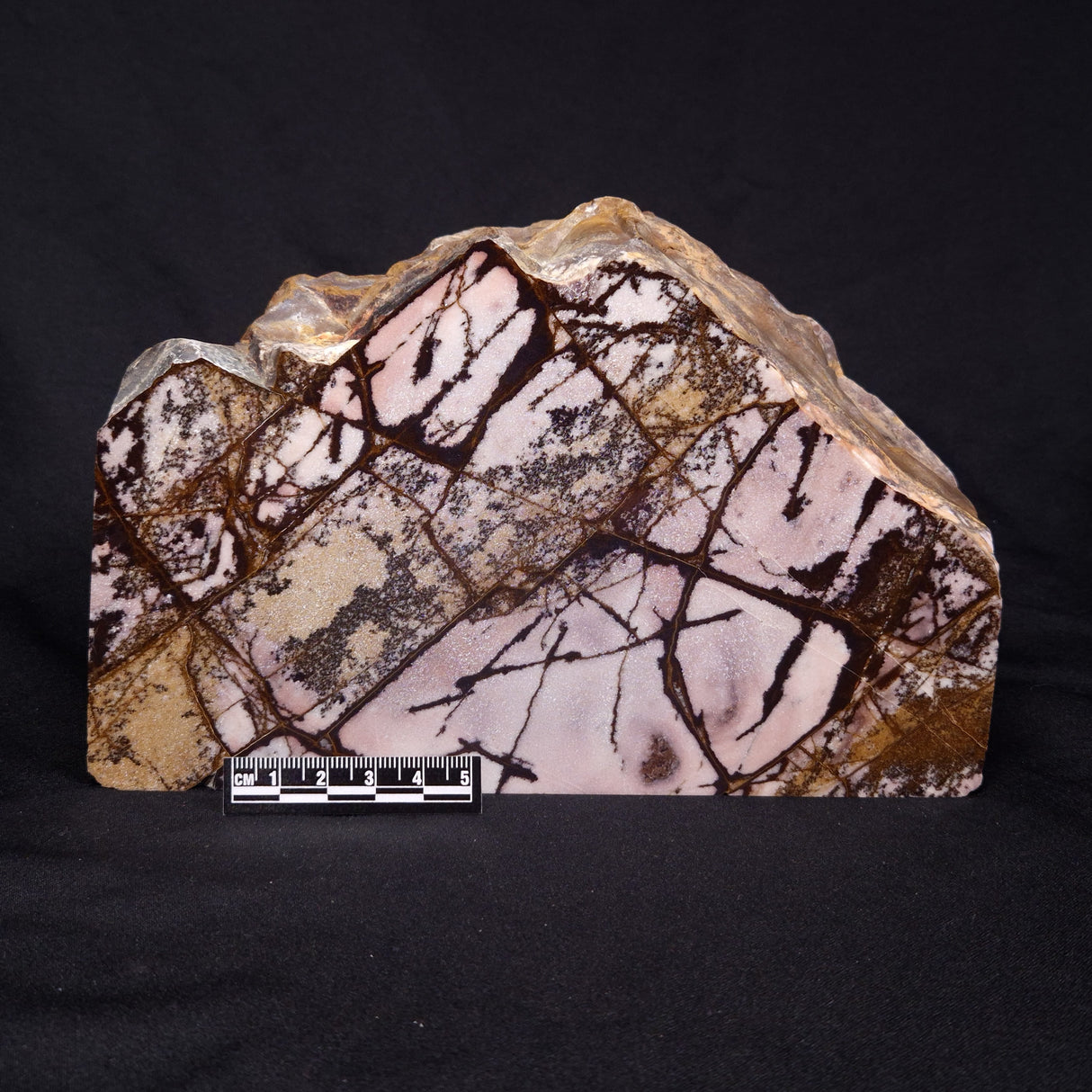 OUTBACK JASPER, Australia YSC075