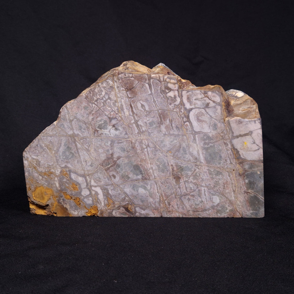 OUTBACK JASPER, Australia YSC075