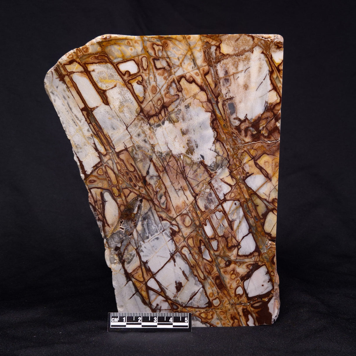 OUTBACK JASPER, Australia YSC077