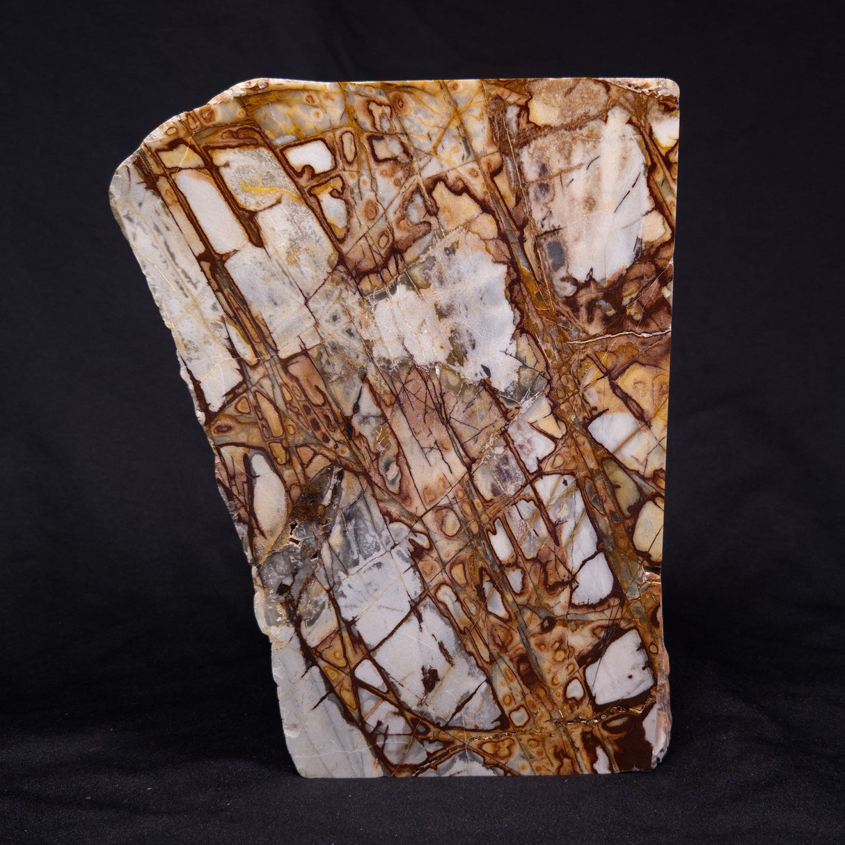 OUTBACK JASPER, Australia YSC077