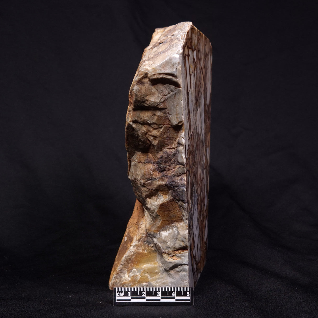 OUTBACK JASPER, Australia YSC077