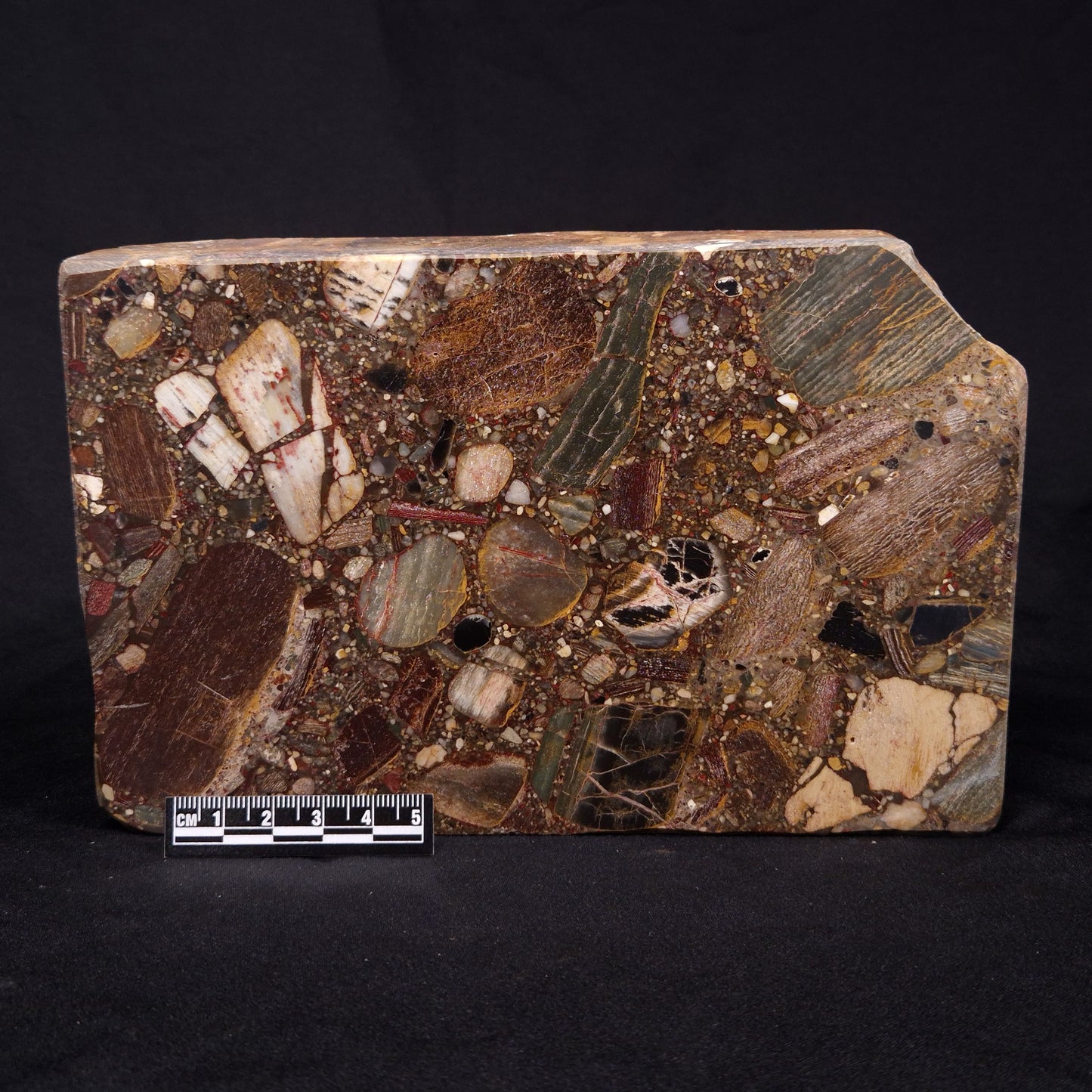 CONGLOMERATE, Australia YSC078