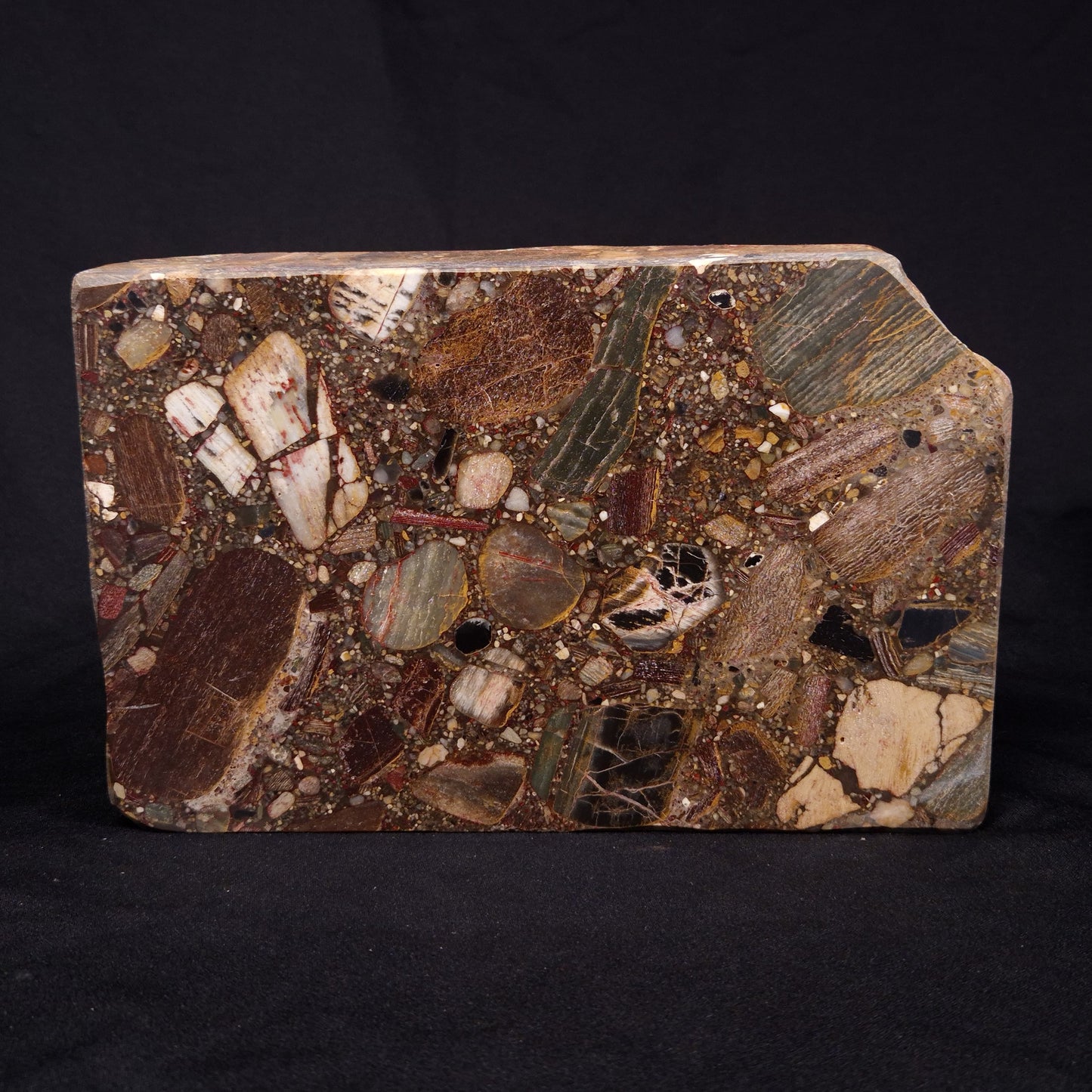 CONGLOMERATE, Australia YSC078