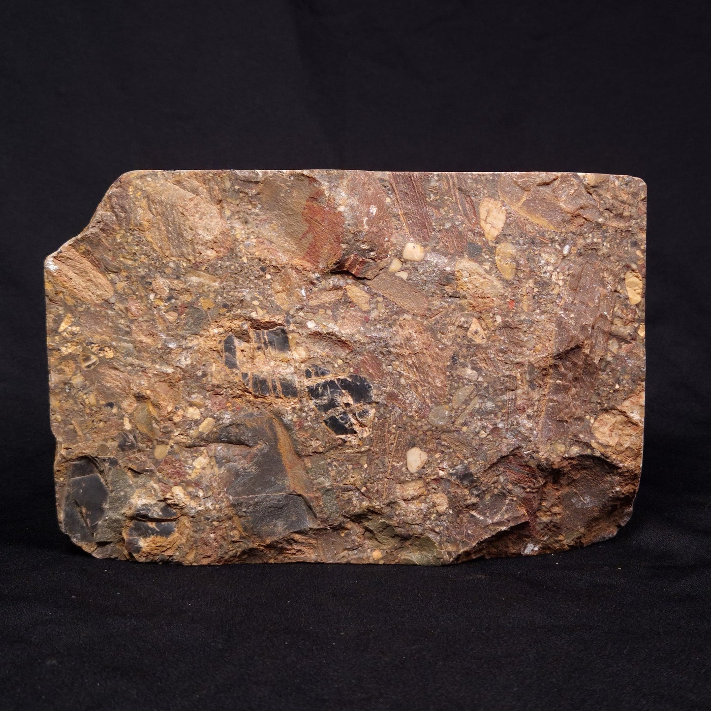 CONGLOMERATE, Australia YSC078