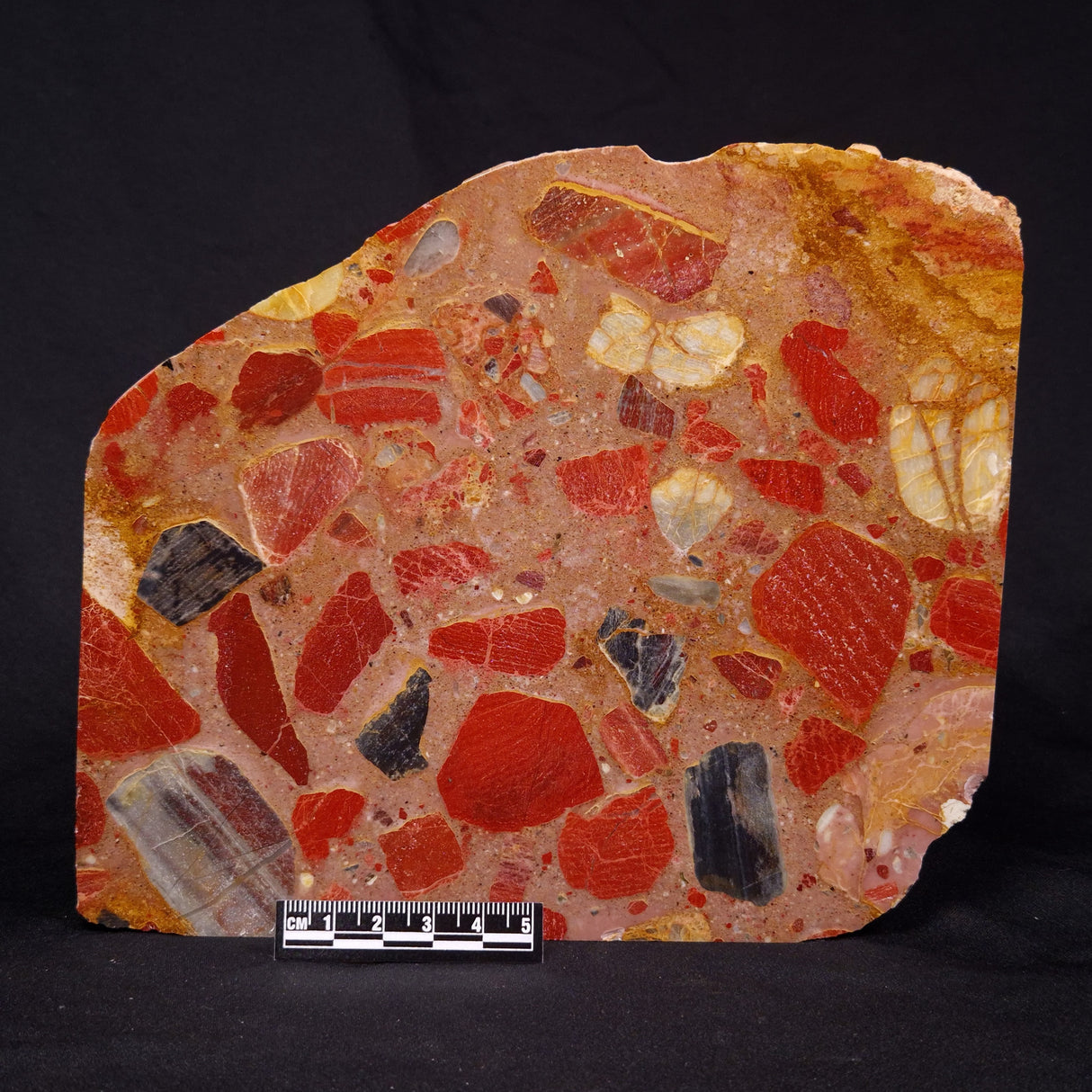 CONGLOMERATE, Australia YSC079