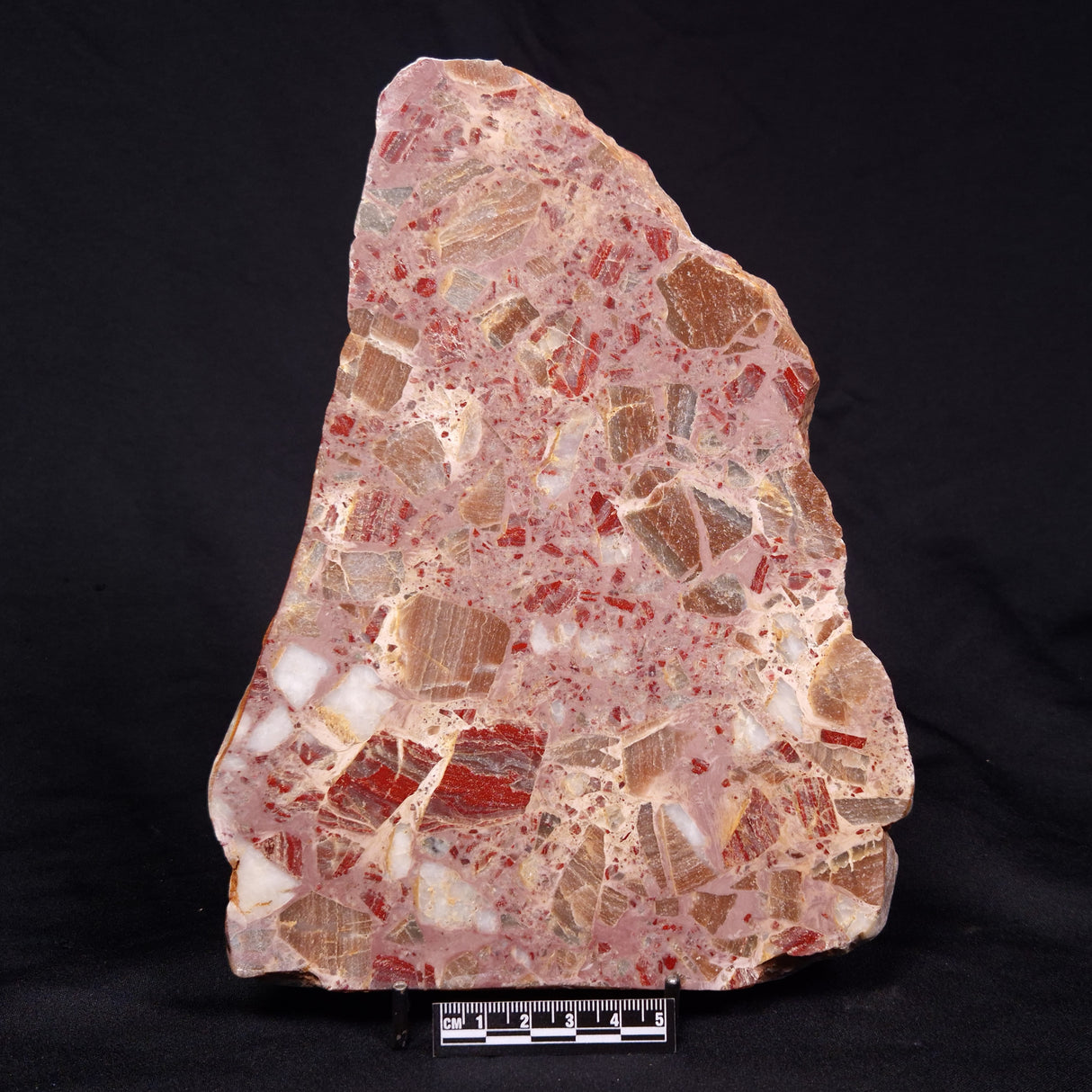 CONGLOMERATE, Australia YSC080