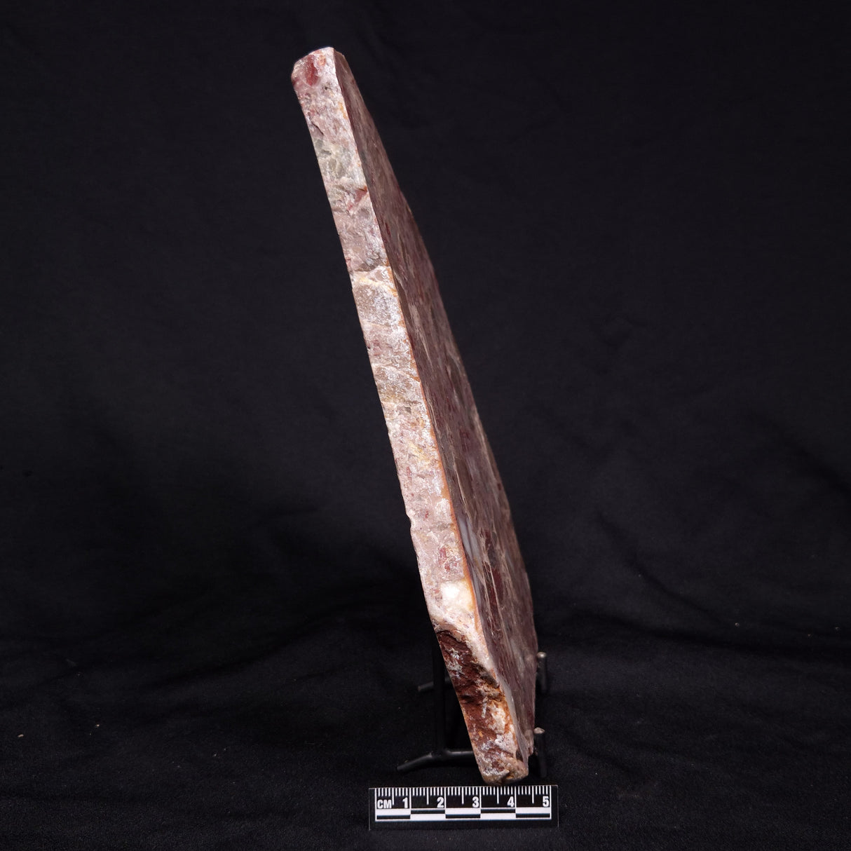 CONGLOMERATE, Australia YSC080