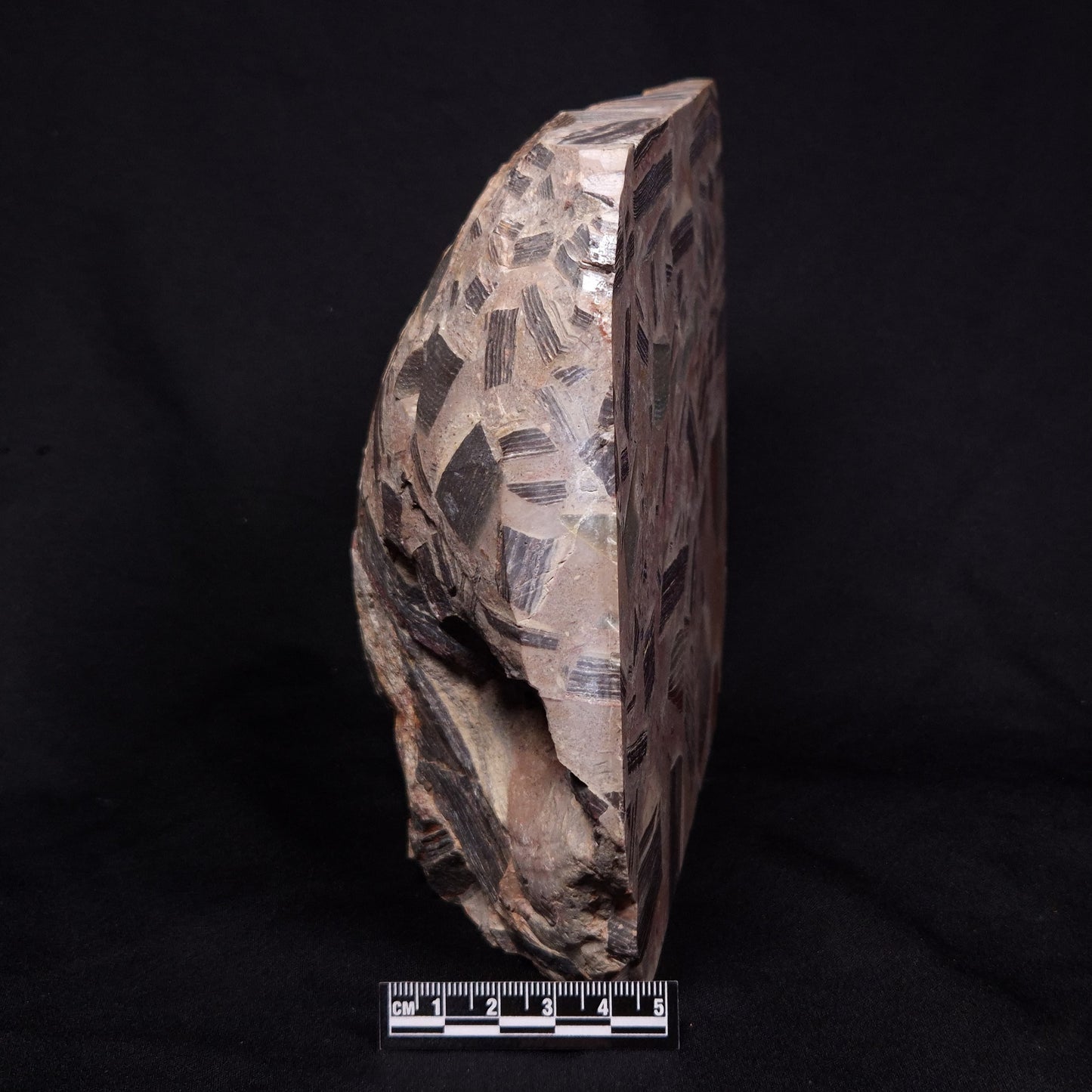 BRECCIA, Australia YSC081