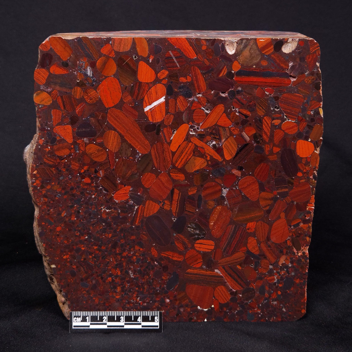 CONGLOMERATE HEMATITE AND JASPER, Australia YSC083