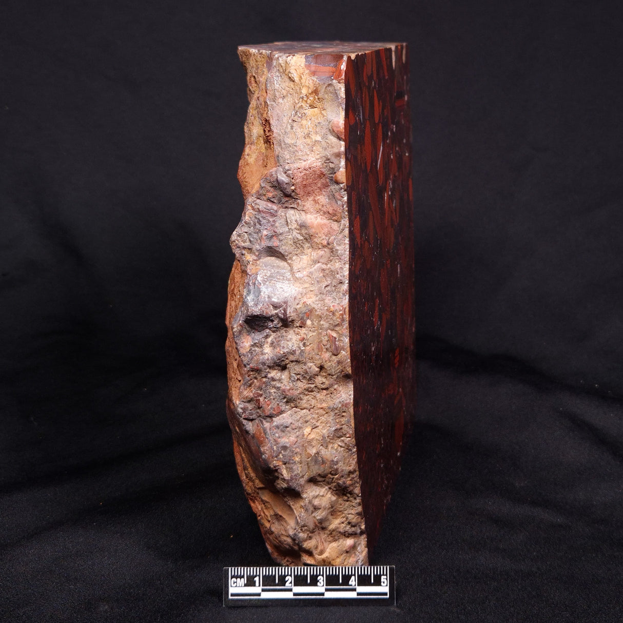 CONGLOMERATE HEMATITE AND JASPER, Australia YSC083