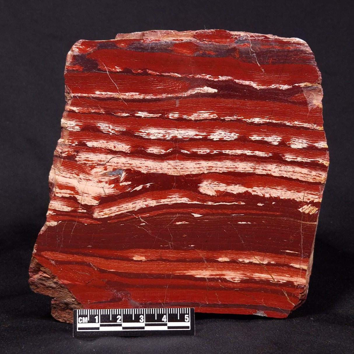 SNAKESKIN JASPER, Australia YSC085