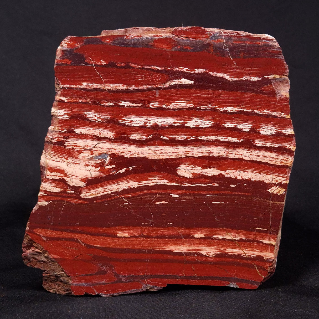 SNAKESKIN JASPER, Australia YSC085