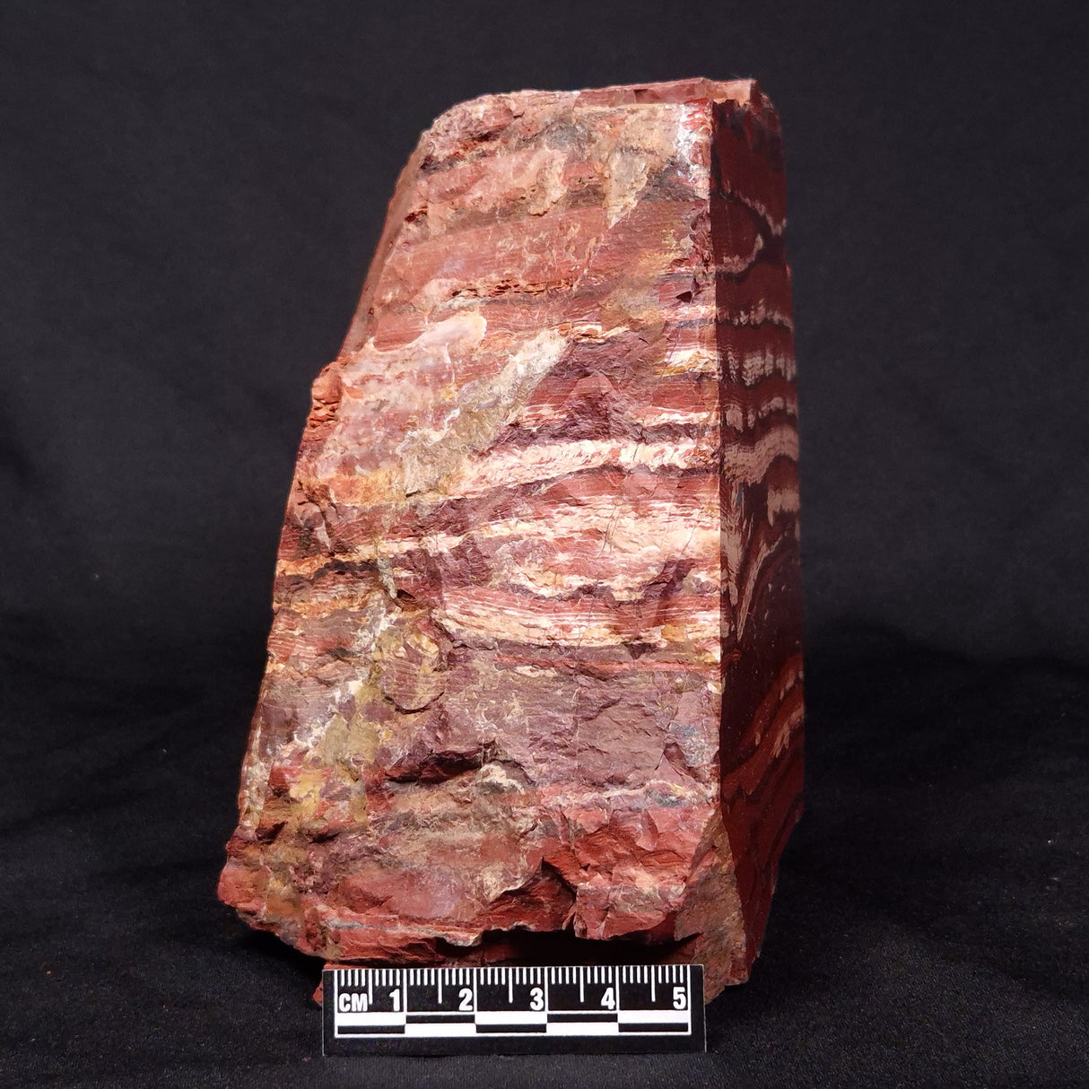 SNAKESKIN JASPER, Australia YSC085