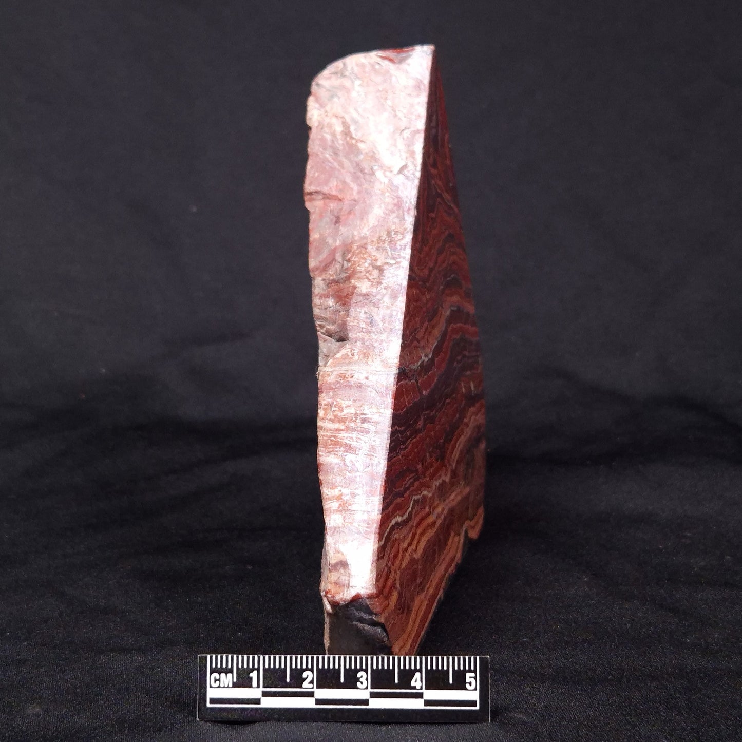 SNAKESKIN JASPER, Australia YSC086