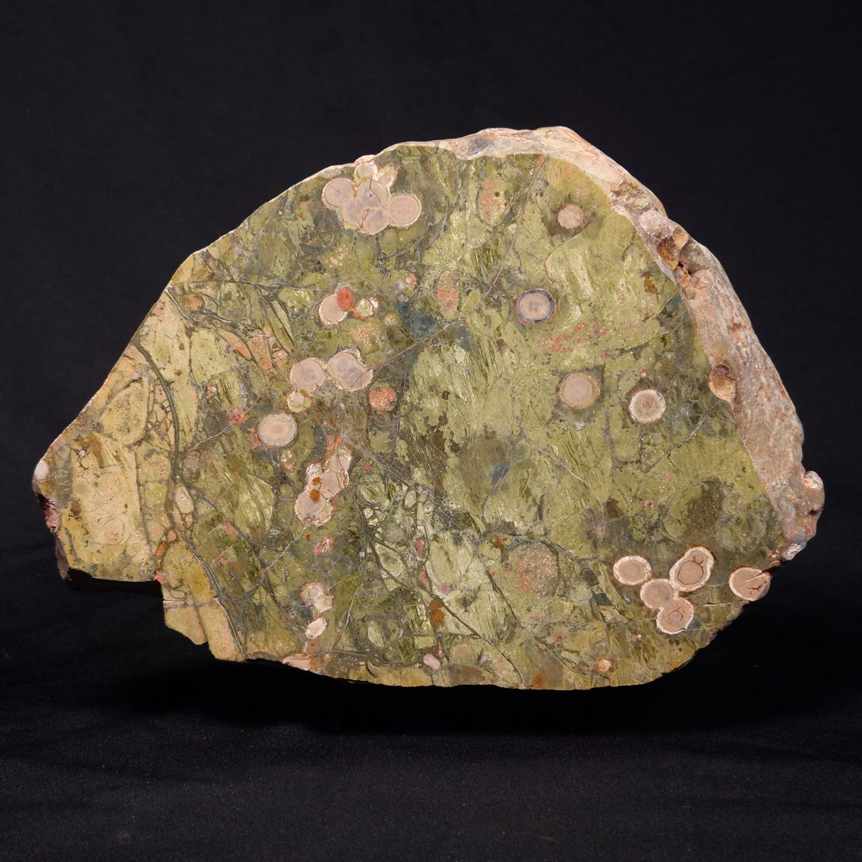 RHYOLITE (RAINFOREST JASPER), Australia YSC088