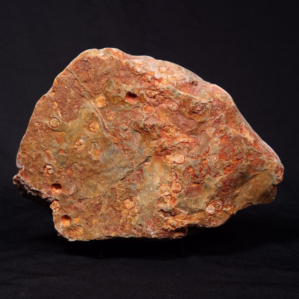 RHYOLITE (RAINFOREST JASPER), Australia YSC088