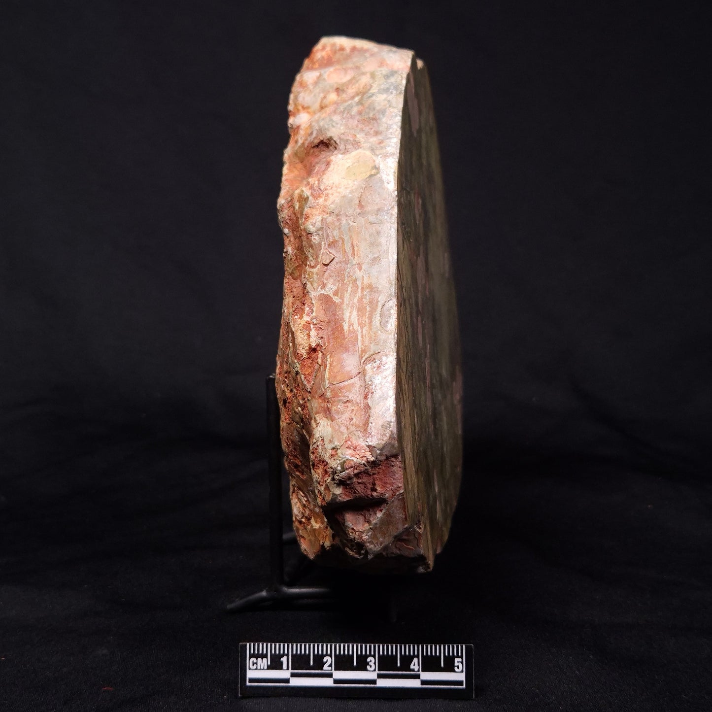 RHYOLITE (RAINFOREST JASPER), Australia YSC088