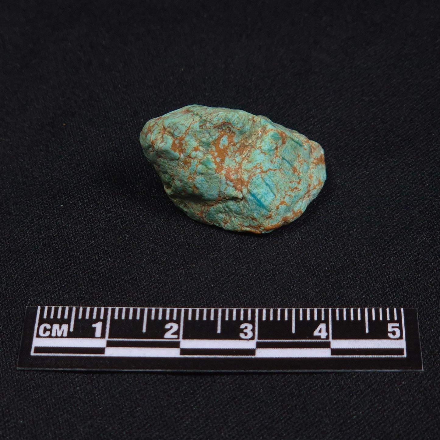 TURQUOISE, Australia XTQ018
