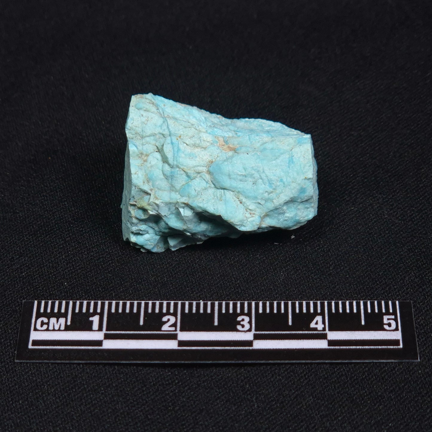 TURQUOISE, Australia XTQ019
