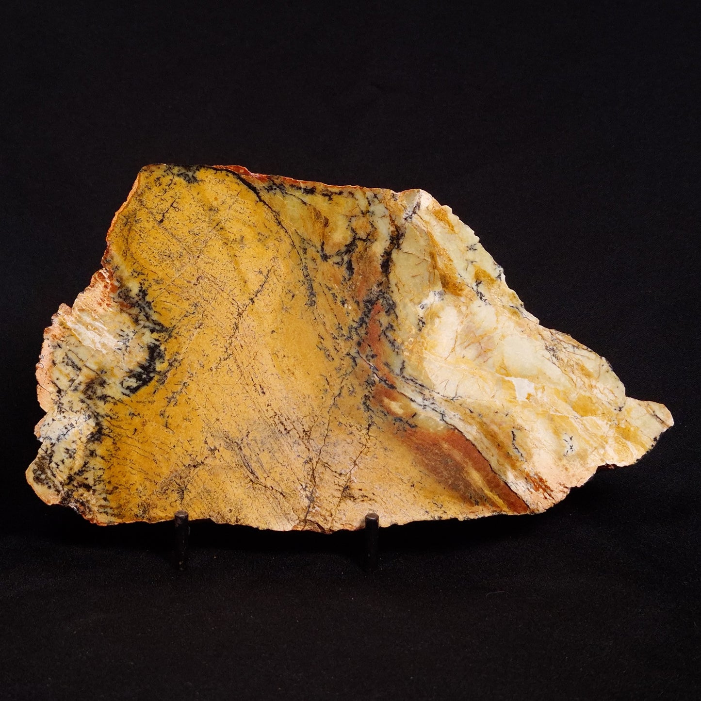 STROMATOLITE MICROBIAL MAT, Strelley Pool Formation, Archean, Australia ZSP017