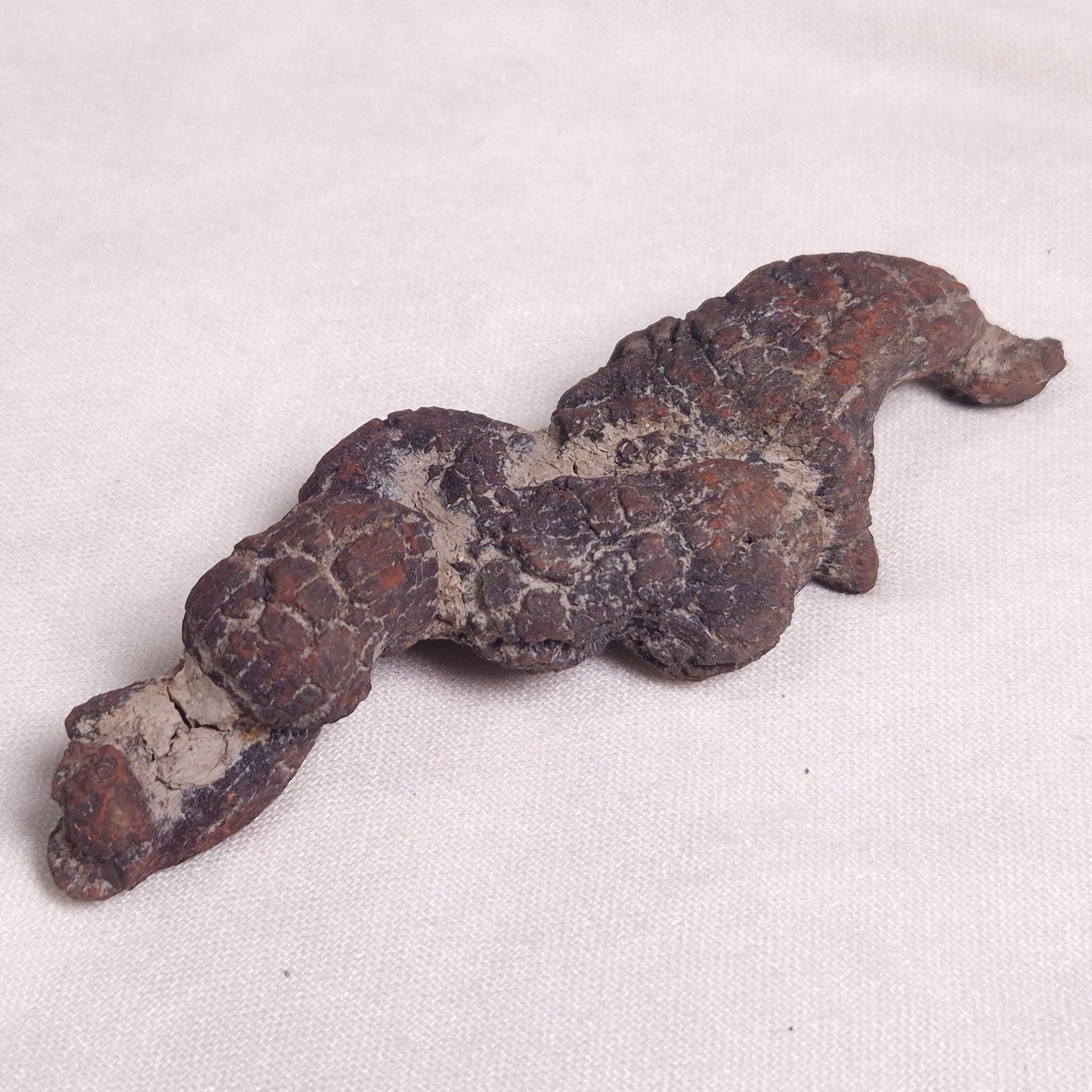 COPROLITE (FOSSILISED POO), Eocene, Madagascar XCF002