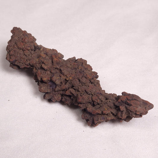 COPROLITE (FOSSILISED POO), Eocene, Madagascar XCF004
